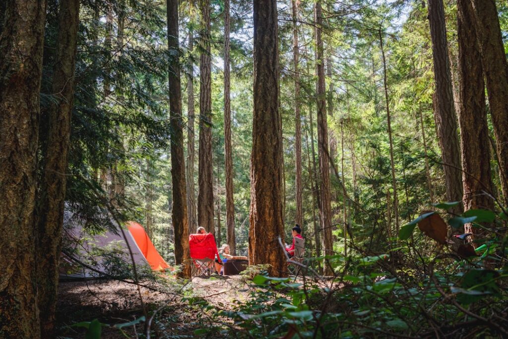 10 Best Browser Games for Camping (Offline, Low Battery)